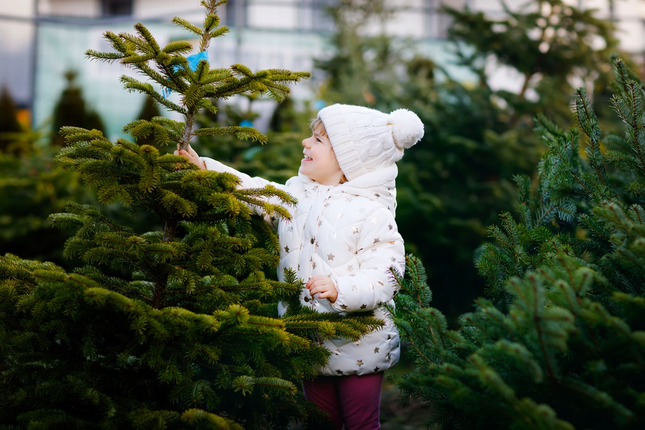 El árbol de Navidad que quería ser especial