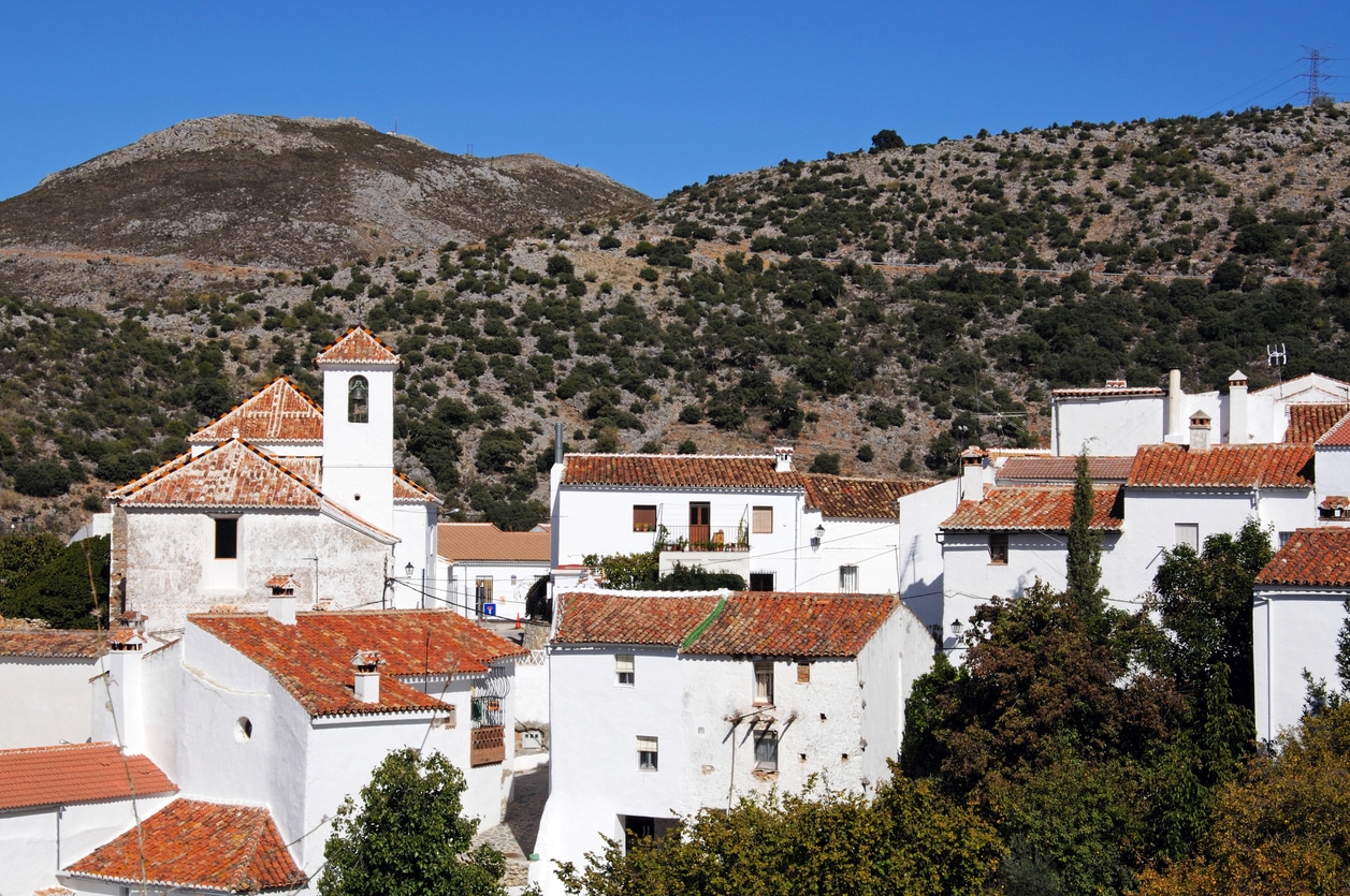 Parauta, Málaga