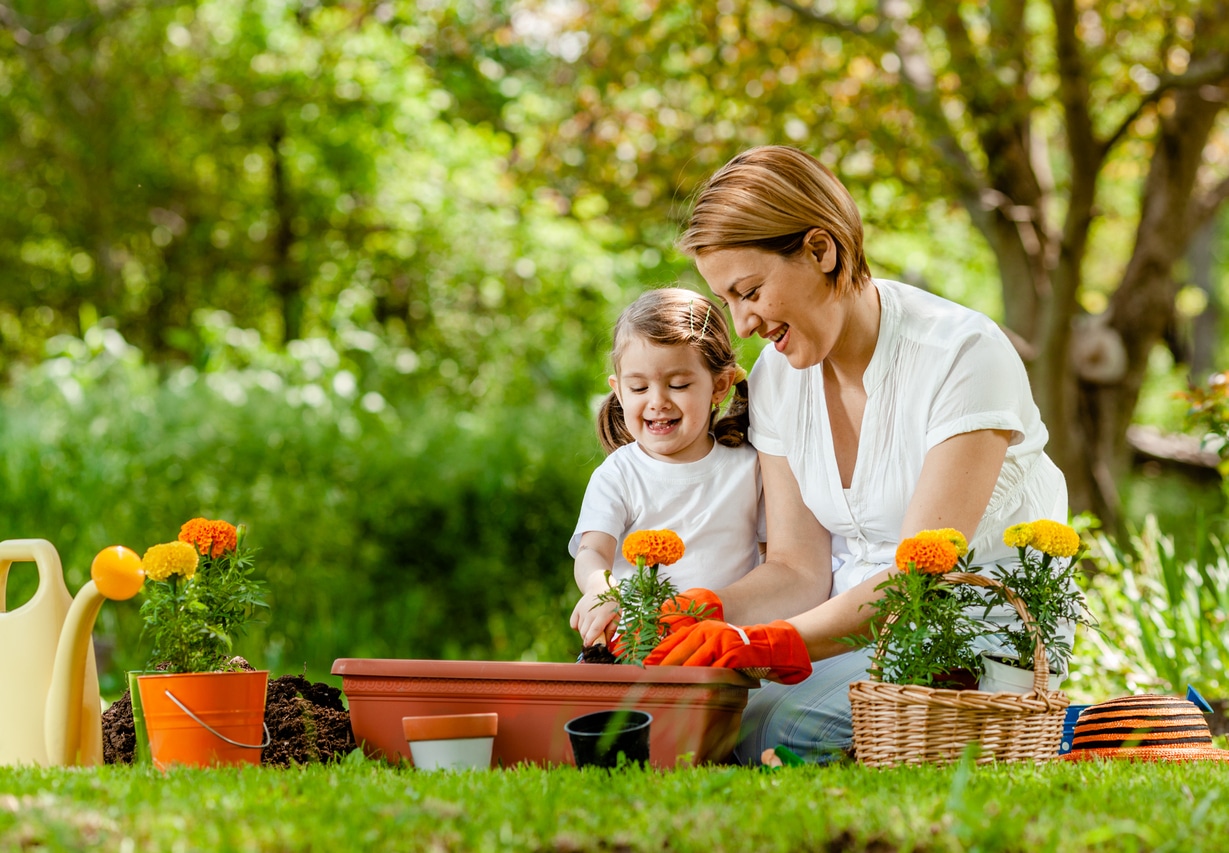 Actividades al aire libre