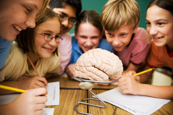 Bachillerato de excelencia, qué es