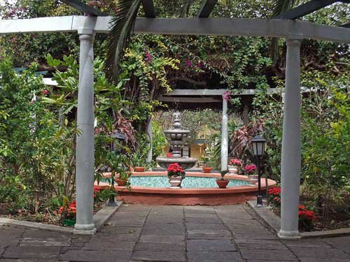 Jardín Orquideas, Tenerife