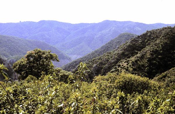 Sierra de Hornachuelos