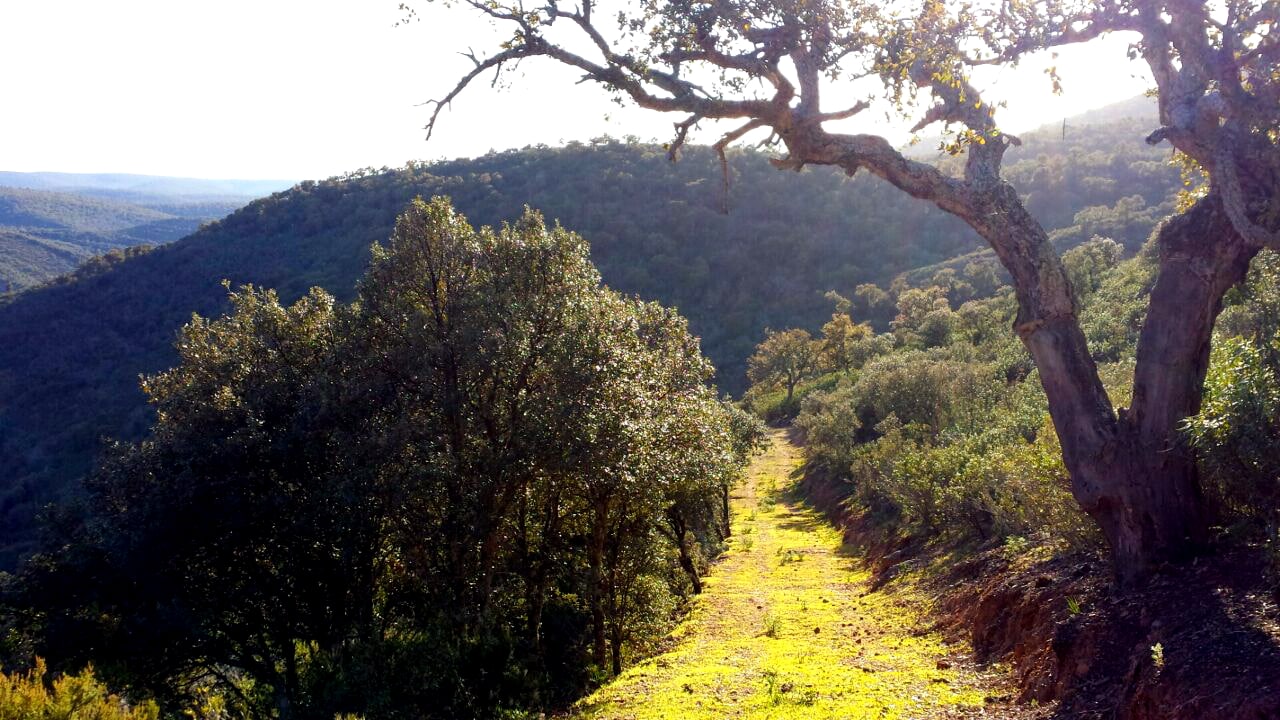 Parque Nacional de Cabañeros