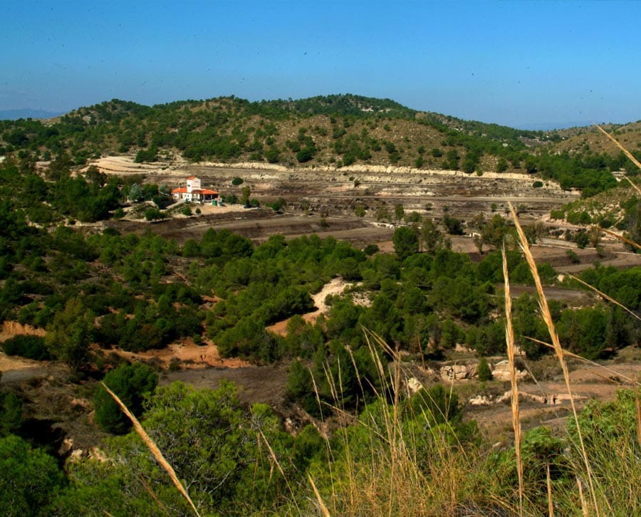 Cañada del Pino