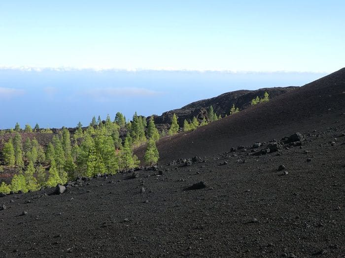 Arenas Negras, Tenerife