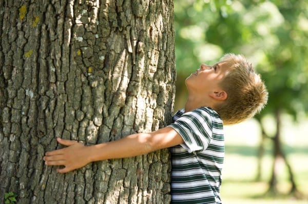 ¿Abandonar A Un Niño En Un Bosque?