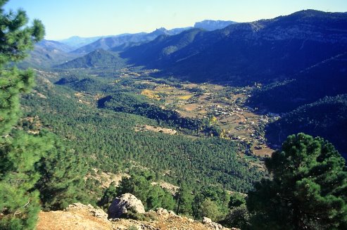 Cazorla