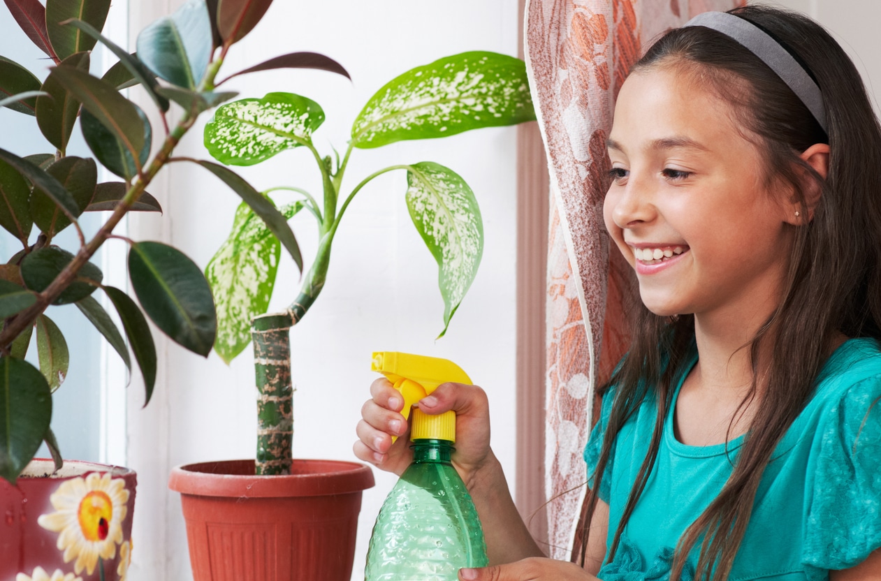 Enseña a cuidar las plantas a los niños