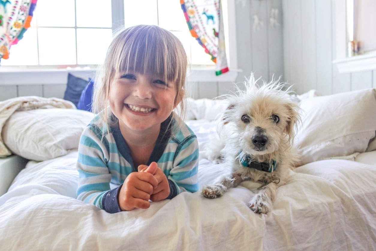 Compartir cuarto con una mascota puede ser una mala idea