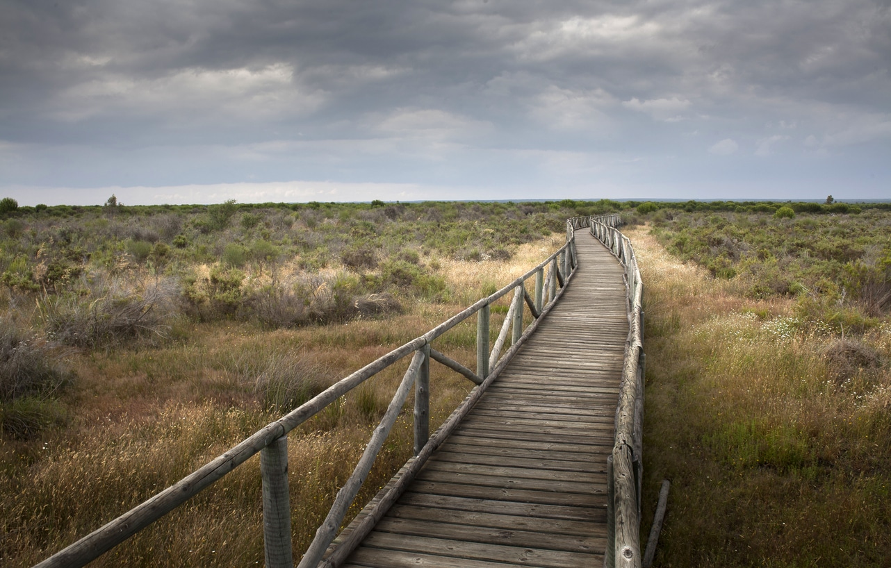 marismas de Doñana en bicicleta