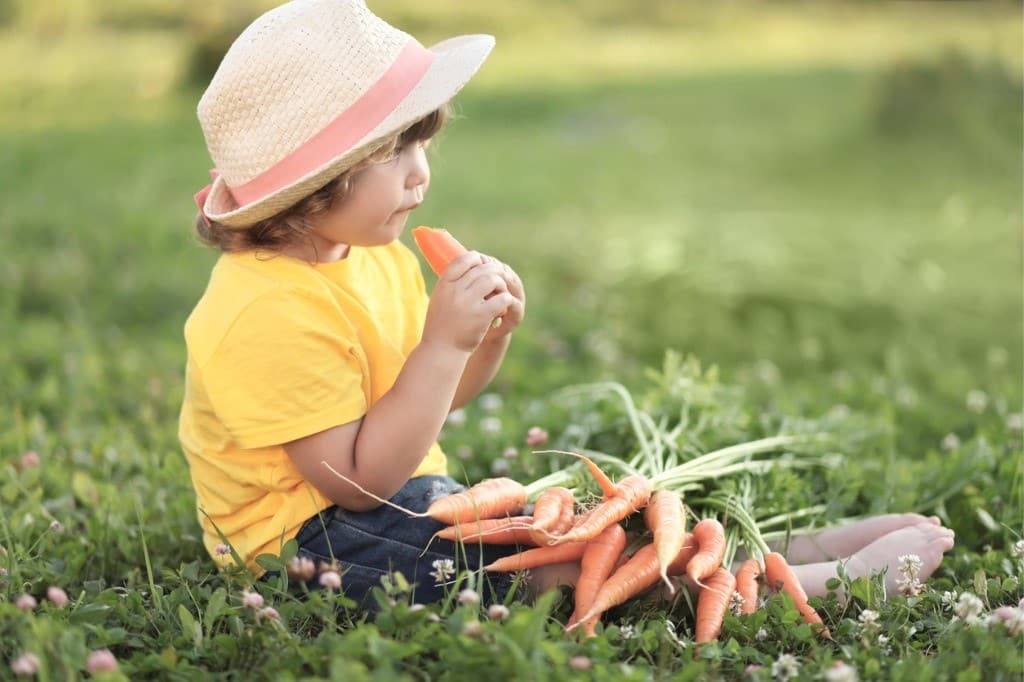 El verano como época para mejorar la alimentación de los niños.