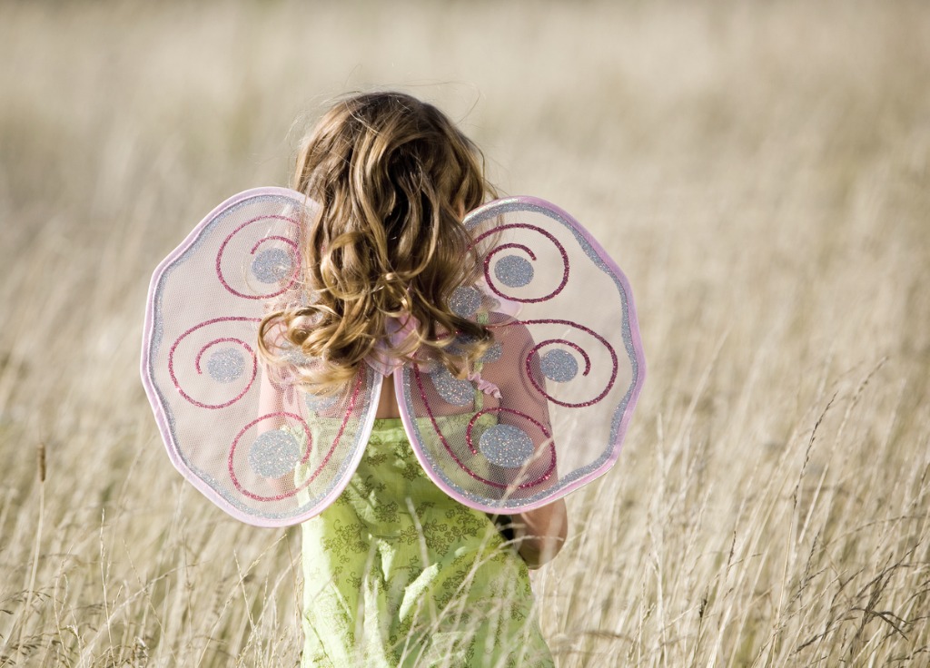 Disfraz de mariposa en Carnaval