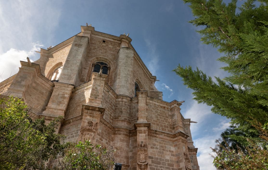 Monasterio de la Vid