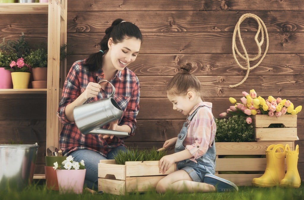 Plantas y flores