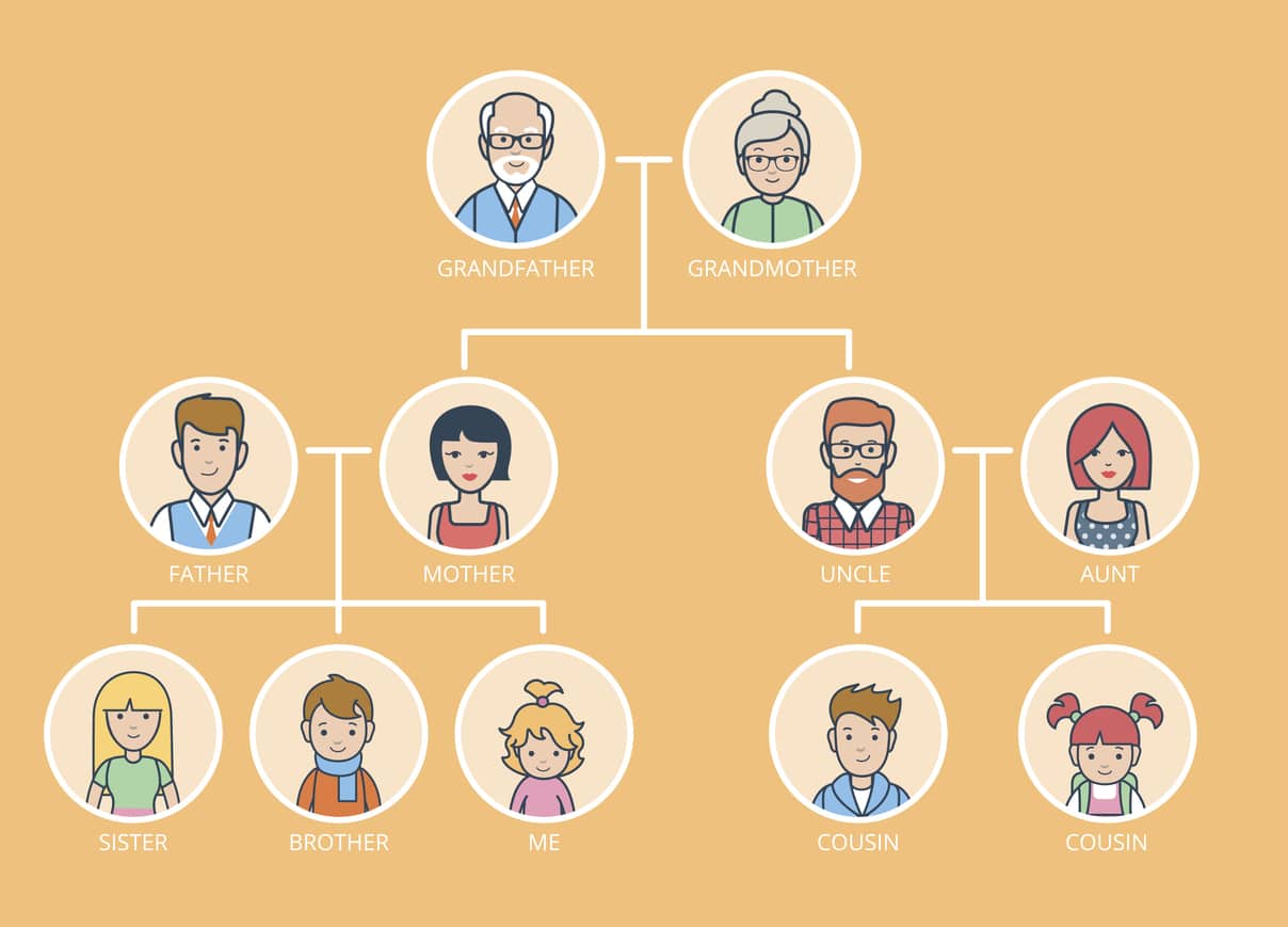 Árboles genealógicos ascendentes y descendentes