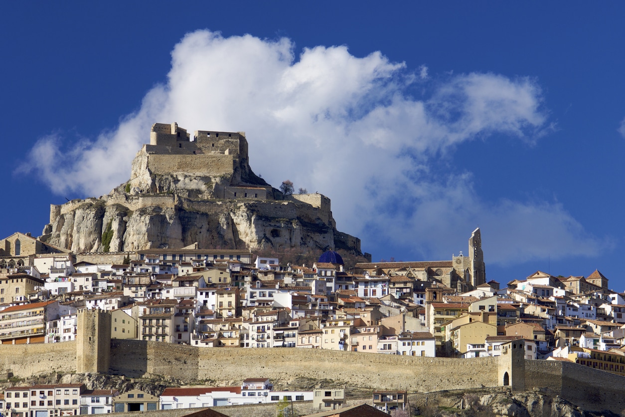 Morella