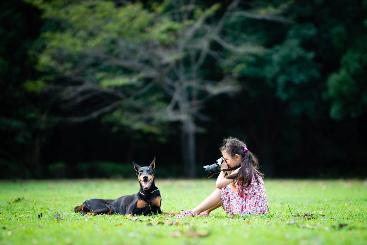 Cómo hacer fotos de animales