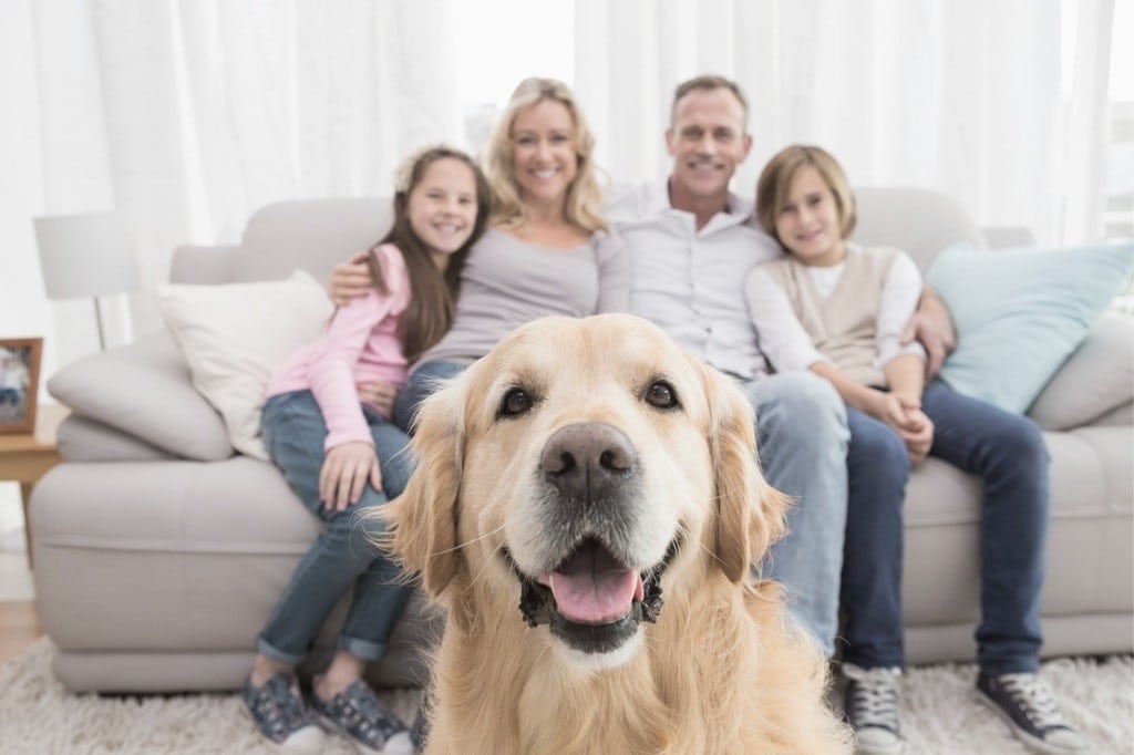 El confinamiento sirvió para estrechar lazos familiares en muchos hogares.