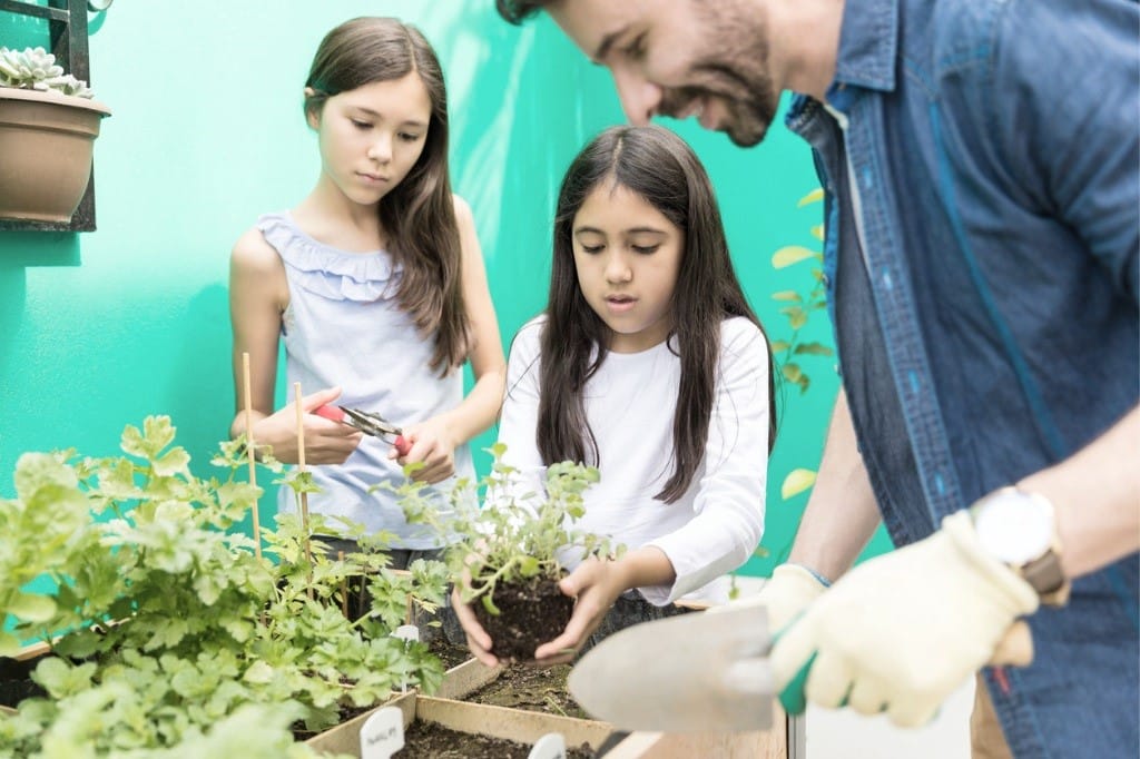 El ecologimos puede ser uno más en casa gracias a la práctica de rutinas como la creación de un huerto urbano.