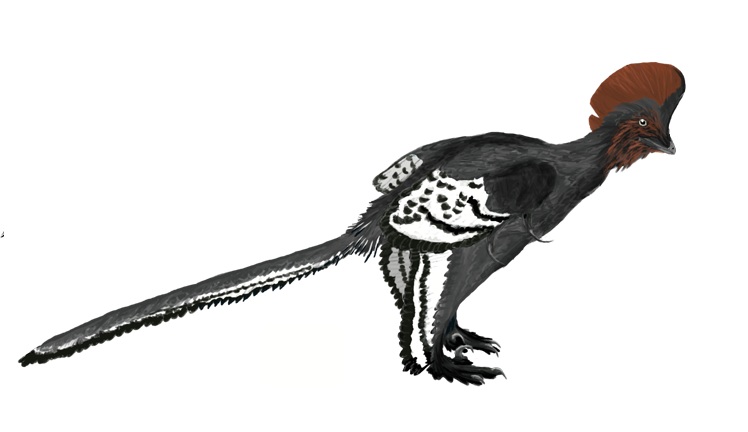 Dino 4