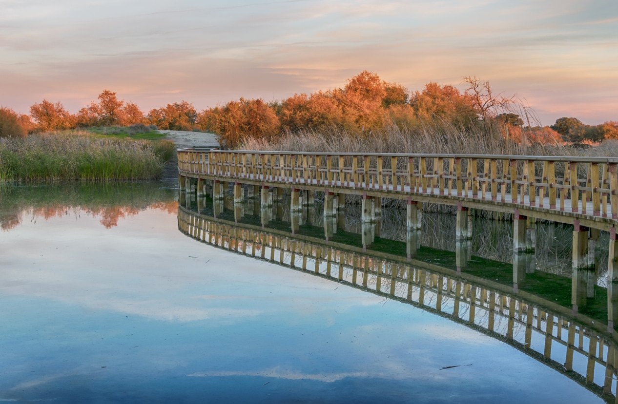 Las Tablas de Daimiel