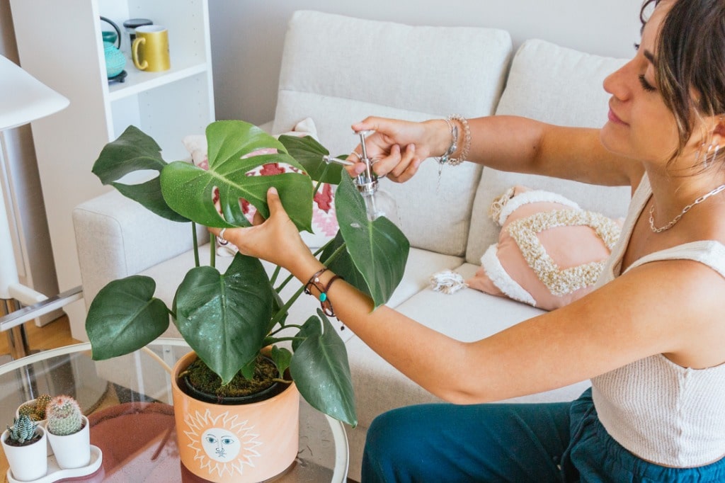 Cuida tus plantas antes de salir de vacaciones