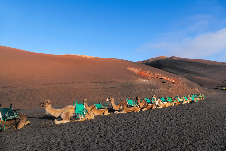 Timanfaya