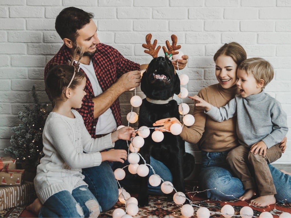 Así podrás construir las propias tradiciones navideñas de tu hogar.