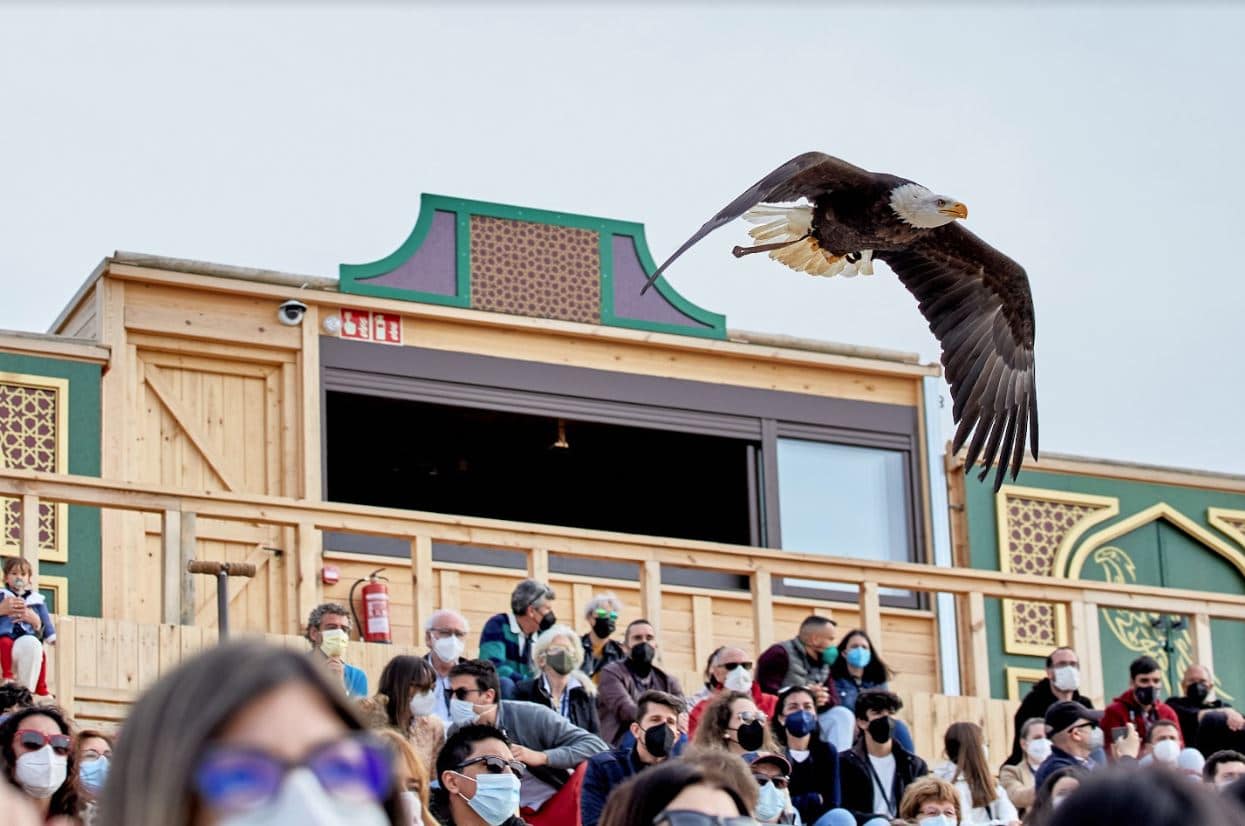 Puy du Fou. Cetrería de reyes