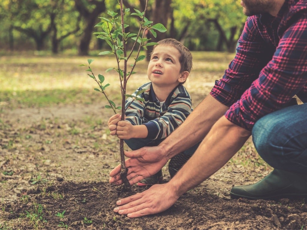 Así puede senseñar a tus hijos el significado, y la importancia de cuidar la natuealeza.