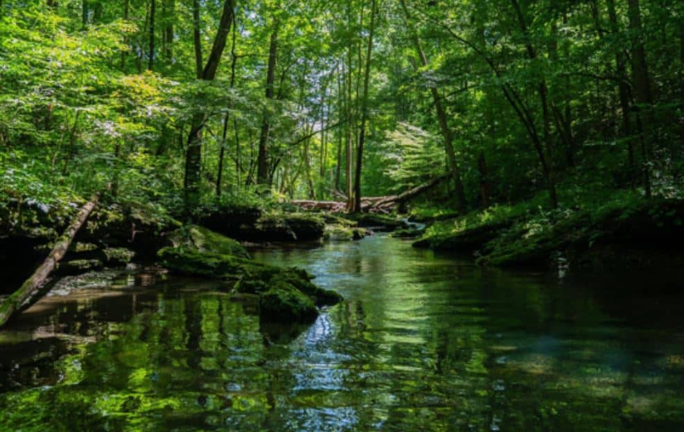 Vacaciones en la naturaleza en familia