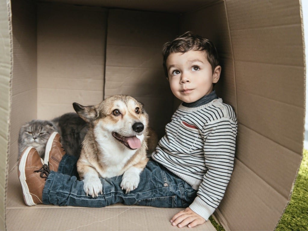 La pérdida de una mascota es inevitable, y estos son los consejos que puedes seguir para ayudar a superar esta despedida.