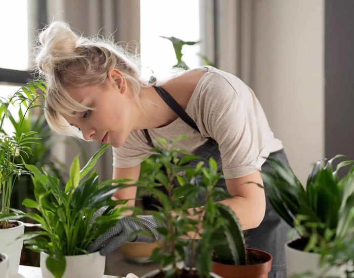 25-03-2019 Trucos para evitar que tus plantas se sequen durante una ola de calor
SOCIEDAD
ISTOCK