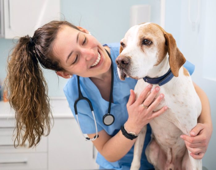 19/05/2022 ¿Estás Triste Por La Pérdida De Tu Mascota? Te Ayudamos A Superarlo.

perros, gatos, roedores e incluso aves. Hoy día tenemos como compañeros de vida toda clase de animales, pero los perros y los gatos siguen siendo las mascotas que mejor encajan en las familias, hasta el punto que cuando llega el momento de darles el adiós y dormirlos en el veterinario, el 90% de las personas no son capaces de estar en la misma habitación que ellos.

SOCIEDAD
ISTOCK