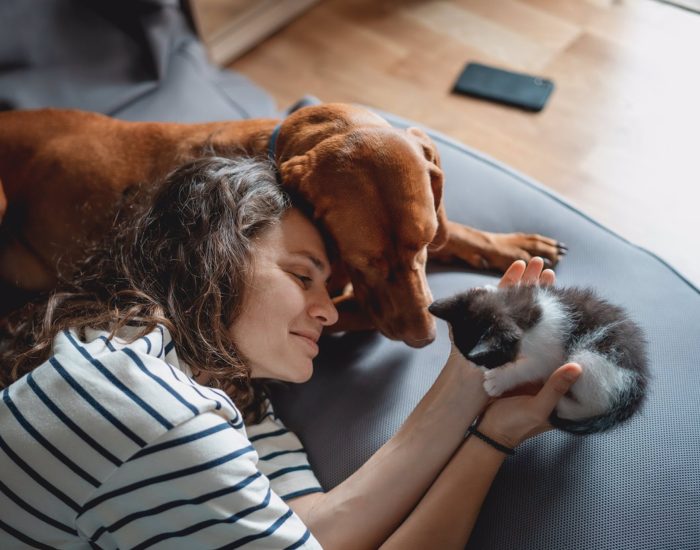 27/12/2022 Una mascota en casa: las obligaciones de la nueva ley.

tramitación de la Ley de Bienestar Animal se encuentra actualmente en un punto muerto, esperando a que el PSOE y sus socios de gobierno lleguen a un acuerdo sobre si incluir a perros de caza, pastoreo, rescate y labores policiales en su ámbito de protección. Aunque se espera que en 2023 se apruebe esta ley, que tiene como principal objetivo evitar el abandono de animales domésticos, ya incluye algunas medidas relevantes para aquellos que decidan adoptar una mascota, especialmente si se trata de un perro.

SOCIEDAD
ISTOCK