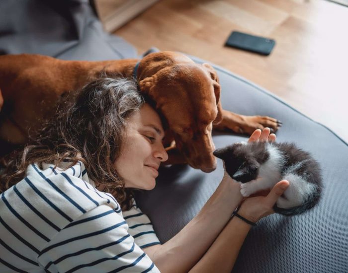 27/12/2022 Una mascota en casa: las obligaciones de la nueva ley.

tramitación de la Ley de Bienestar Animal se encuentra actualmente en un punto muerto, esperando a que el PSOE y sus socios de gobierno lleguen a un acuerdo sobre si incluir a perros de caza, pastoreo, rescate y labores policiales en su ámbito de protección. Aunque se espera que en 2023 se apruebe esta ley, que tiene como principal objetivo evitar el abandono de animales domésticos, ya incluye algunas medidas relevantes para aquellos que decidan adoptar una mascota, especialmente si se trata de un perro.

SOCIEDAD
ISTOCK