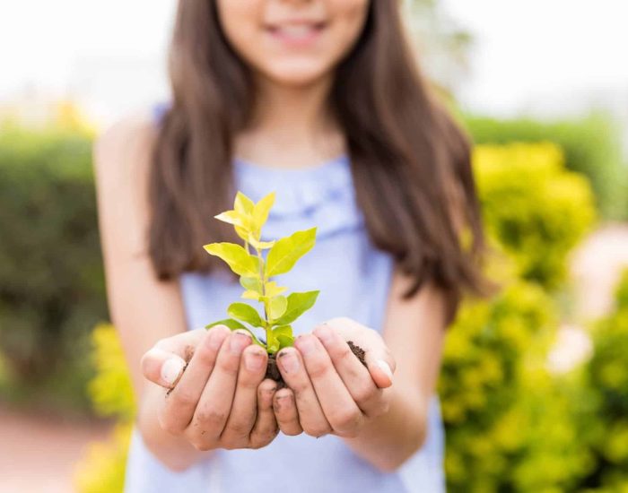 08/06/2023 Educación medioambiental para una sociedad más sostenible.

niños y las niñas son el futuro de nuestro planeta y en la educación que reciben recae la existencia de un mañana en el que se logren los Objetivos de Desarrollo Sostenible (ODS) establecidos por las Naciones Unidas en pro de un desarrollo responsable y consciente del medio ambiente. Por eso, los adultos de hoy los debemos dotar de herramientas necesarias para ayudarlos a desarrollar hábitos sostenibles y que puedan, de este modo, establecer una base de conocimientos y valores para toda su vida.

SOCIEDAD
ISTOCK