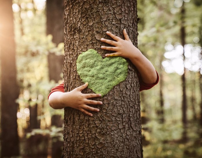 Nature lover, close up of child hands hugging tree with copy space