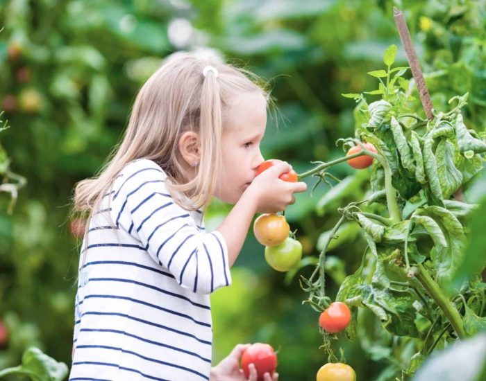 28/08/2023 Los beneficios del tomate hacen de este alimento un imprescindible en el menú de las familias..

los muchos alimentos que componen el menú de las familias durante el verano, el tomate es una de las estrellas. Ya sea en gazpacho, salmorejo, ensaladas para refrescarse, o dentro de un sofrito para acompañar otras comidas. La doctora Elena Soria, de Clínica Menorca destaca las cualidades de esta "fruta" y las ventajas que supone para la nutrición de todos en casa.

SOCIEDAD
ISTOCK