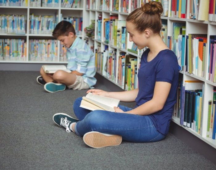 25/09/2023 La crisis de las bibliotecas escolares: una llamada a la acción.

una era marcada por la digitalización y la información instantánea, las bibliotecas escolares se enfrentan a una crisis silenciosa pero alarmante. Estos santuarios del conocimiento, que han sido fundamentales en la educación durante siglos, están desapareciendo a un ritmo preocupante.

SOCIEDAD
ISTOCK