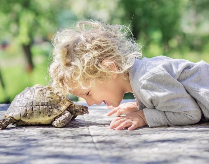 03/10/2023 ¿Qué animal de compañía elijo para mis hijos?
SOCIEDAD
ISTOCK