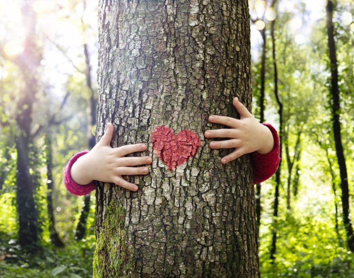 10/04/2021 Claves para educar en el amor hacia la naturaleza
SOCIEDAD
ISTOCK