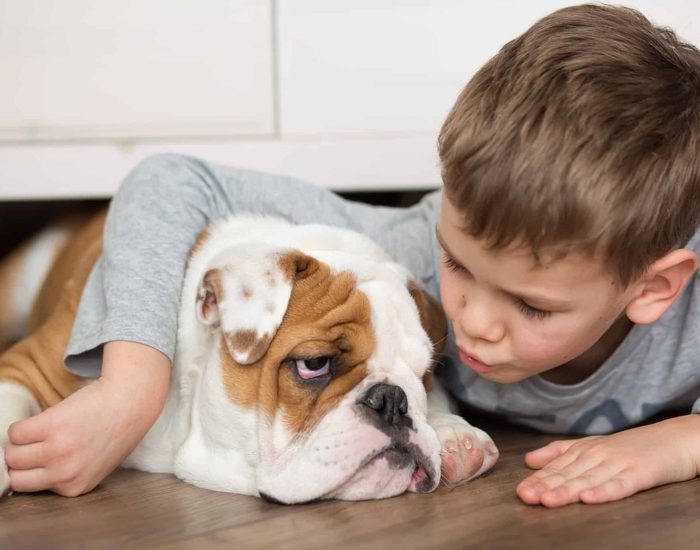 06/01/2015 Los perros, desde sus miedos, enseñan a los más pequeños.

Les ayudan a ser más sociables, a conciliar el sueño con mayor facilidad, fomentan su activad física, incluso les hacen ser más responsables desde edades tempranas. Se habla mucho de los beneficios que tienen los animales en los niños y es que cuando un animal entra en un hogar se convierte en uno más de la familia, pero más aún cuando hay niños por medio, porque el vínculo que se crea entre un niño y su hermano peludo es muy especial. Y justamente es ese vínculo el que les permite a los niños y niñas a entender sus propias emociones porque, de algún modo, crecer entendiendo a los compañeros de cuatro patas favorece su comprensión y ven que sus sentimientos son totalmente válidos. Y así piensa la educadora canina especializada en la educación de cachorros y perros adoptados, y autora del libro 'De perros y sus monstruos', Alena Chvátalová, quien cree firmemente que "la educación canina respetuosa puede ayudar en la educación emocional de los niños y niñas, que es algo que tanta falta nos hace a muchos adultos". Los más de 15 años de experiencia como educadora canina le han enseñado a Alena mucho sobre los humanos, y ser madre le abrió los ojos en cuanto a todo lo que nos queda por aprender sobre cómo nos tratamos a nosotros mismos y a los niños, y para aportar su granito de arena al bienestar de los perros y los más pequeños de la casa comenzó a escribir libros educativos sobre las emociones de estos compañeros de cuatro patas.

SOCIEDAD
ISTOCK