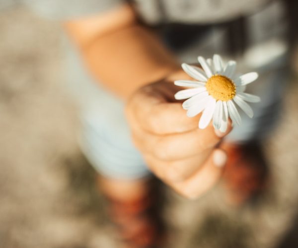 Trabajar la gratitud en medio de la desgracia